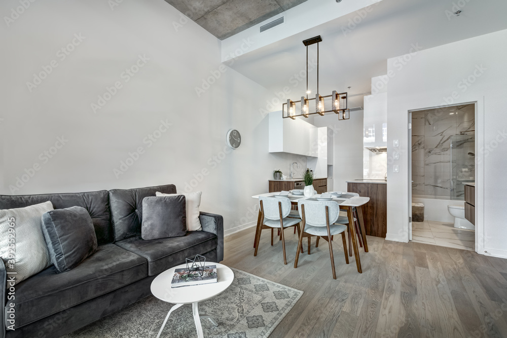 Fototapeta premium Beautiful Canadian style luxury furnished and staged apartment in the apartment building