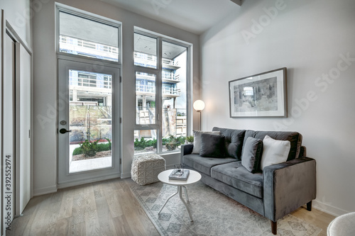 Beautiful Canadian style luxury furnished and staged apartment in the apartment building