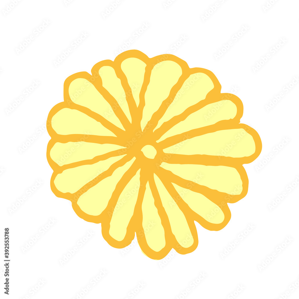 縁起物イラスト素材_菊の花 黄色 縁起物イラスト素材_菊の花 黄色