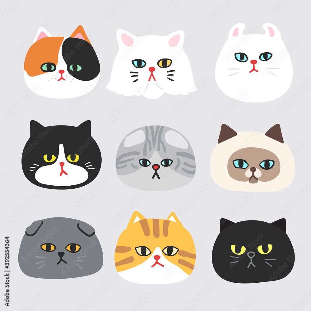 Cat face collection : Vector Illustration