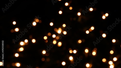 holiday lights