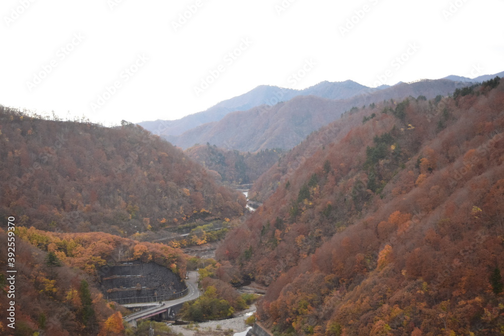 Naklejka premium 紅葉