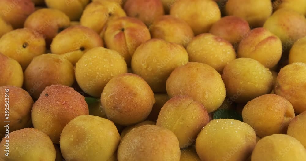 Zoom of a heap of ripe yellow apricots in dew drops. Zoom of a heap of ripe yellow apricots in dew drops.