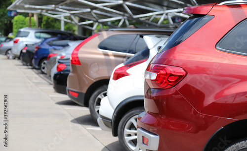 Closeup of rear side of red car and other cars park in parking area in sunny day. 