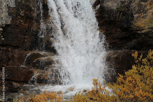 Middle Of Tangle Falls  Jasper National Park  Alberta