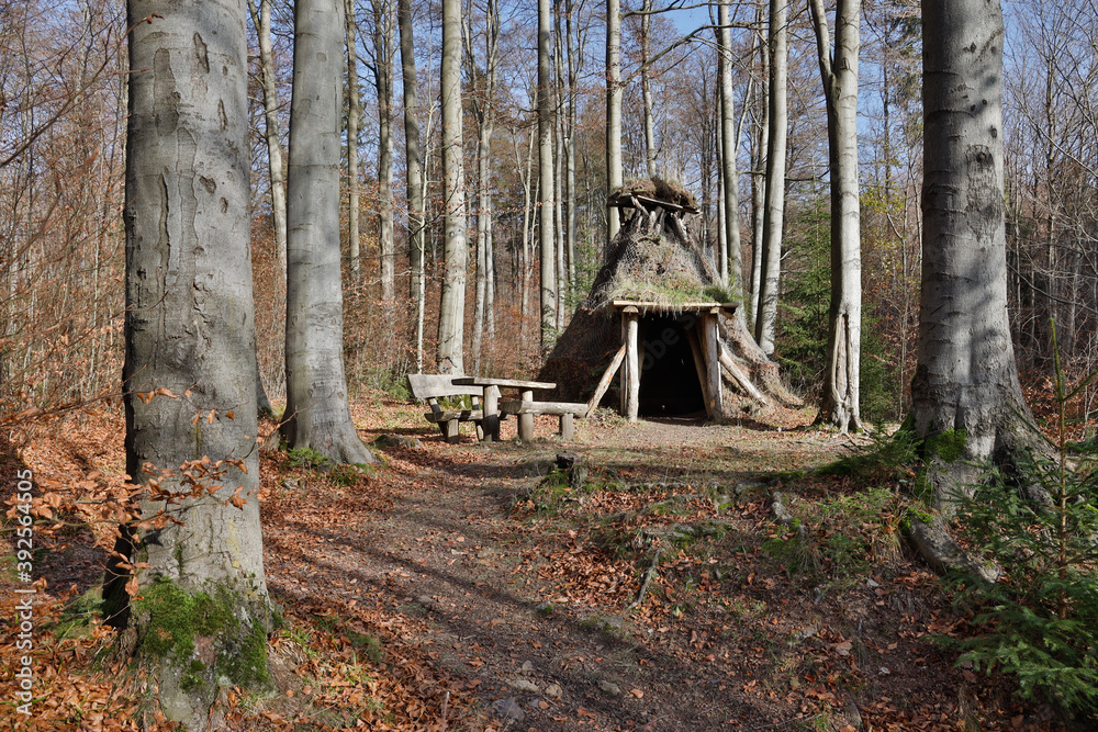 Schutzhütte im Wald bei Friedrichsbrunn Schutzhütte im Wald bei Friedrichsbrunn