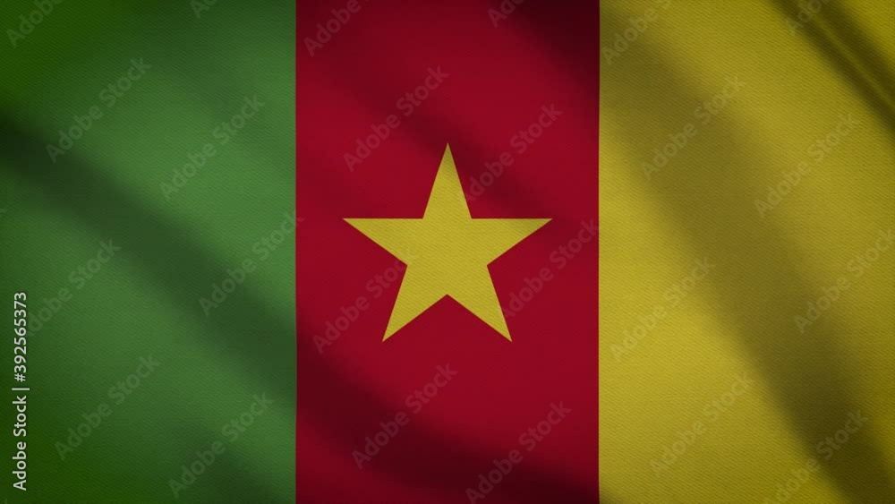 waving Flag of Cameroon
waving Flag of Cameroon
