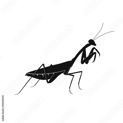 Mantis icon. Black silhouette of mantis. Vector illustration