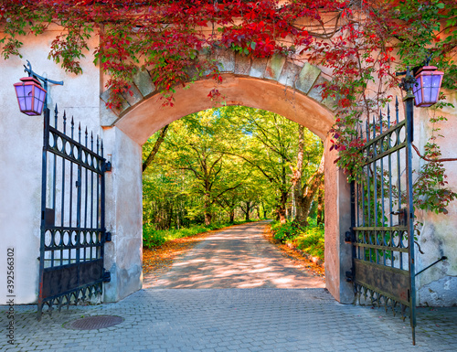 Autumnal fairyland motif with gate into countryside gravel road  photo