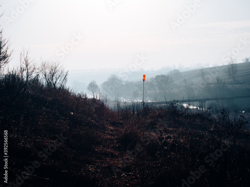 dry grass on the banks of the river in spring