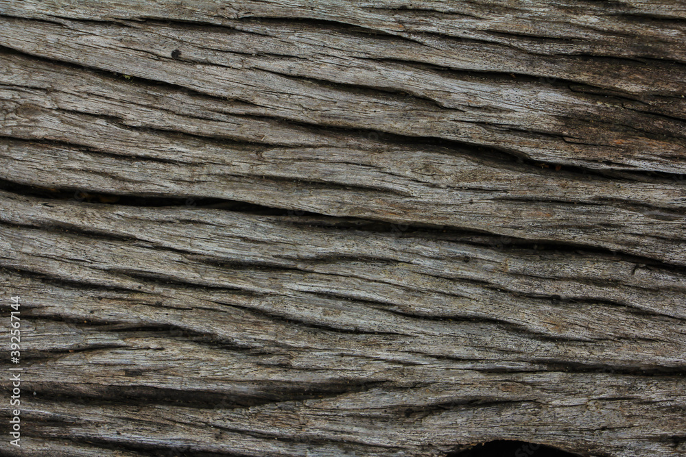 Old wooden background. Wooden table or floor. Cracks of wood texture, Natural patterns. Old wooden background. Wooden table or floor. Cracks of wood texture, Natural patterns.
