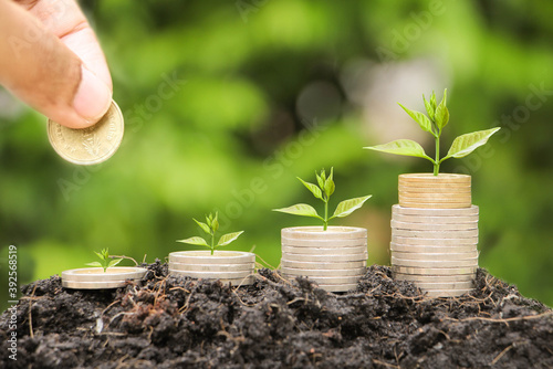 Investor hand hold and drop a gold coin and plant growing with savings money on photo blur cityscape on sunlight background, Business investment and saving money concept.