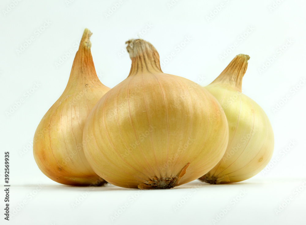 Three yellow organic onions on white background.