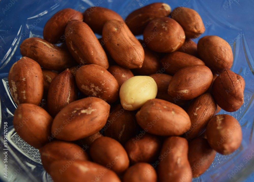 Obraz premium roasted peanuts in a bowl