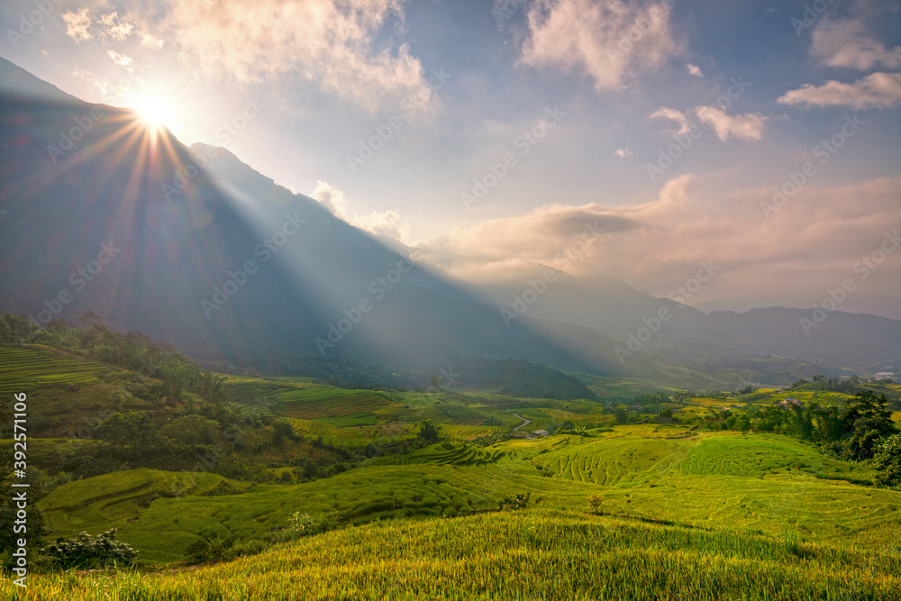 Fototapeta premium Terraced rice fields in Y ty, Sapa, Laocai, Vietnam prepare the harvest