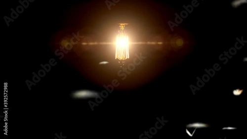 Glowing light bulb is hanging and Insect flying around the light bulb dark black background. Winged Termites Flying around the lamp 3D Seamless animation footage. photo