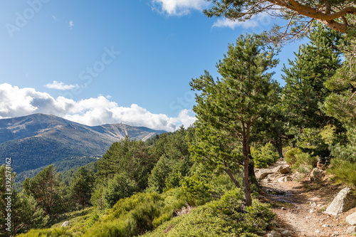 landscapes of the mountains of Madrid in the Guadarrama national park