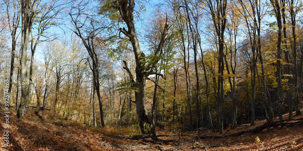 Autumn walks in the foothills of Elbrus, beautiful panorama.
