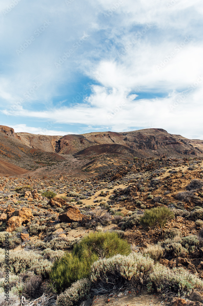 Teide National Park. Beautiful view of volcano mountain rocks desert crater.