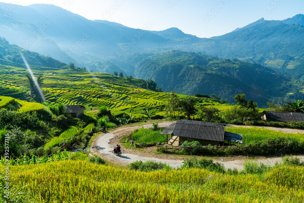 Terraced rice fields in Y ty, Sapa, Laocai, Vietnam prepare the harvest Terraced rice fields in Y ty, Sapa, Laocai, Vietnam prepare the harvest