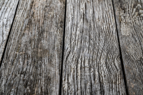 Wood grain texture - pine boards 