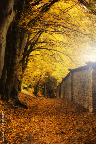 Herbst Natur Autumn Nature