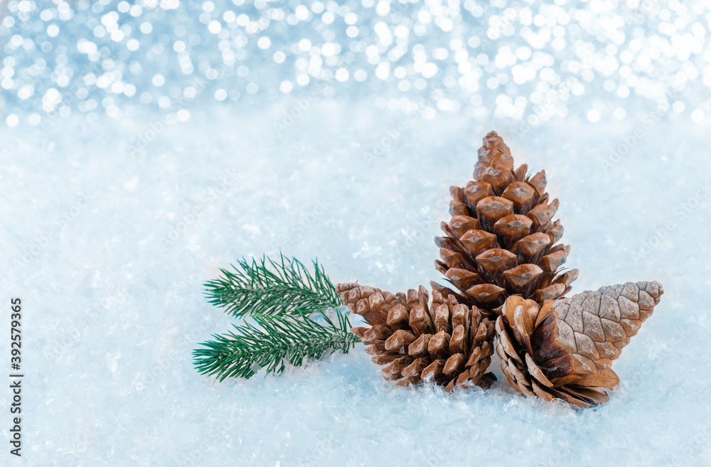 Christmas decoration on the snow fir cones on a snowy background Christmas decoration on the snow fir cones on a snowy background
