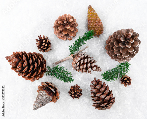 Christmas decoration on the snow fir cones on a snowy background