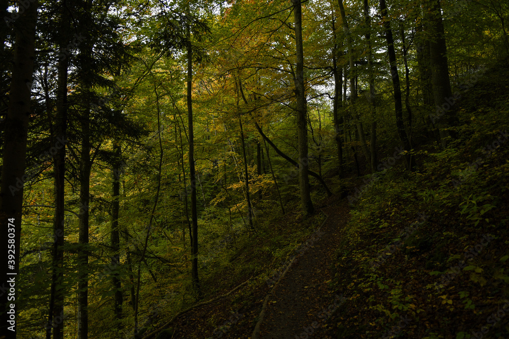 Les gorges de l'Areuse 25