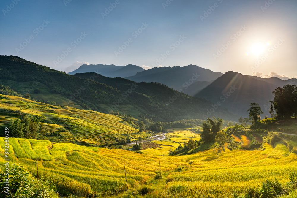 Obraz premium Terraced rice fields in Y ty, Sapa, Laocai, Vietnam prepare the harvest