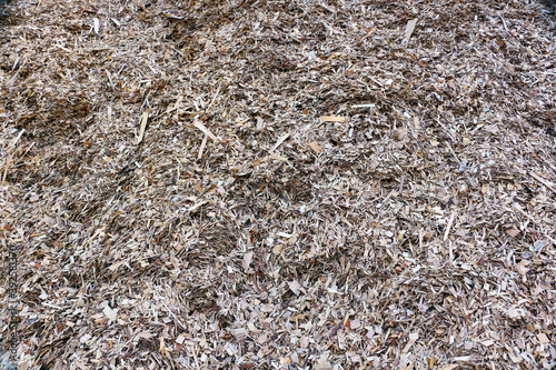 Texture background made of sawdust. Sawdust.