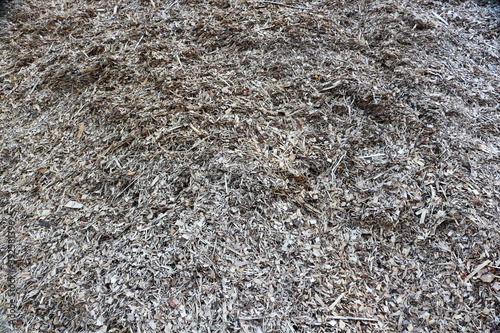 Texture background made of sawdust. Sawdust.