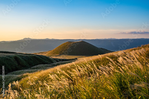 Tableau sur toile Sunset in Miscanthus, Kumamoto, Japan