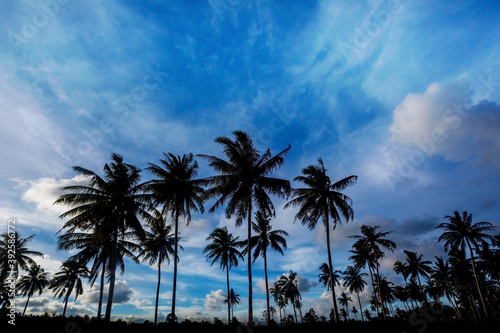 Coconut trees on sunset time © taitai6769