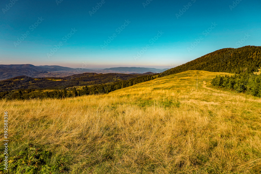 View of the autumn mountain pastures