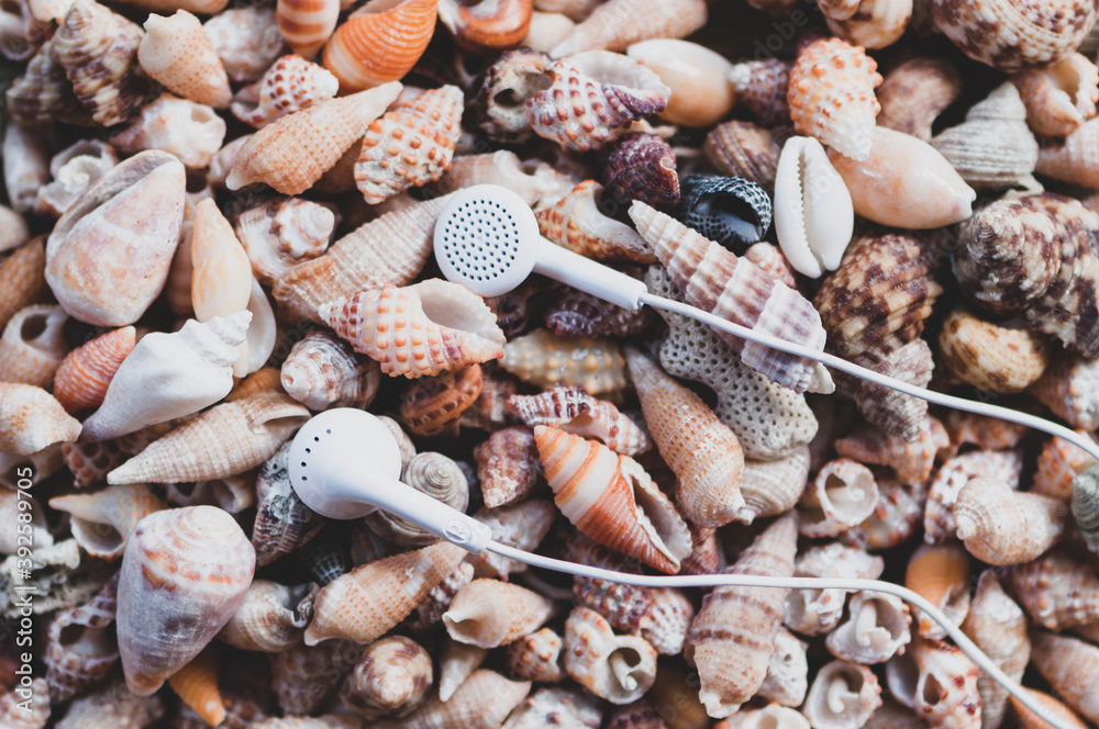Headphones on seashells background, nature  listening concept