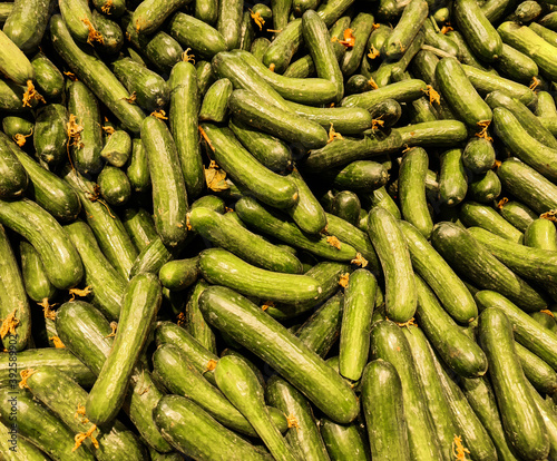 Green cucumber in the market