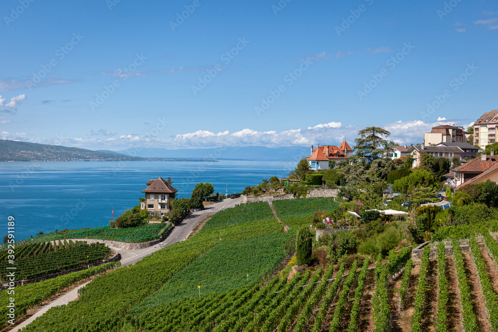 Vue sur le lac Léman depuis le vignoble en terrasses du Lavaux, Suisse