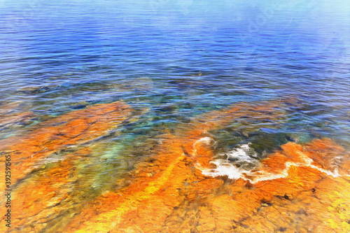 Algae at seabottom colorful painting