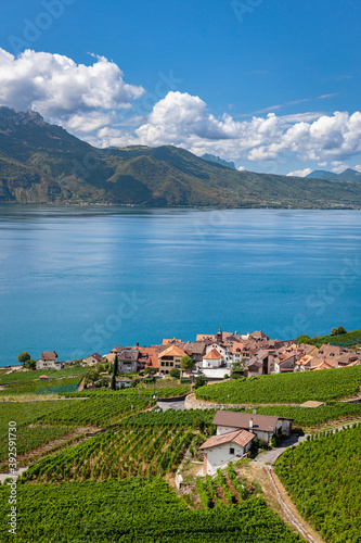 Vue sur le lac Léman depuis le vignoble en terrasses du Lavaux, Suisse