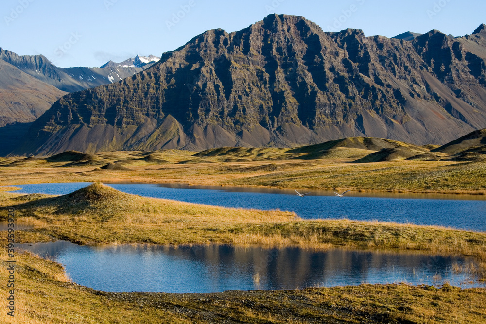 Landscape near Hofn on the south coast of Iceland