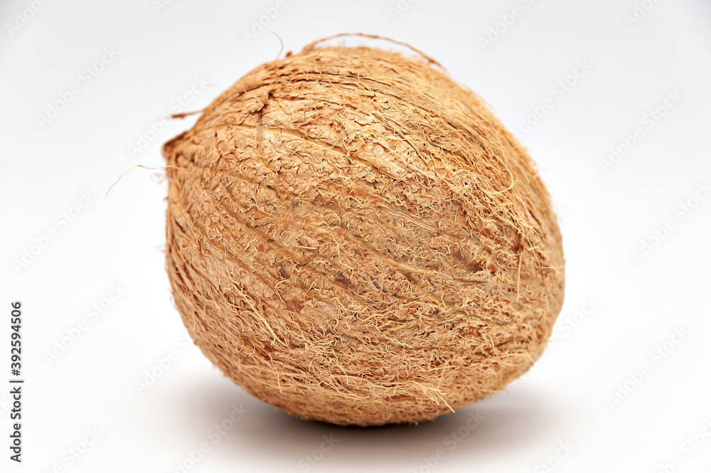 Healthy food - Whole coconut in close-up. Isolated on white background. Horizontal shot. Healthy food - Whole coconut in close-up. Isolated on white background. Horizontal shot.