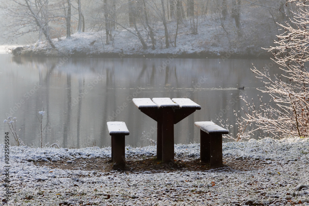 Obraz premium bench in the snow