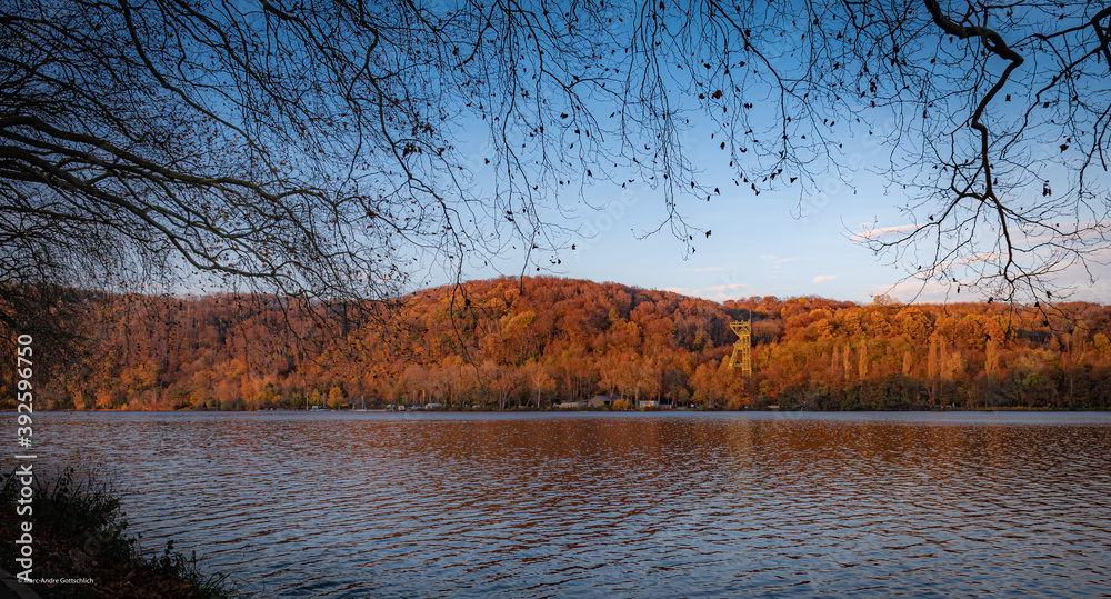 Obraz premium autumn in the park