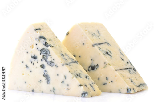 Blue cheese on white background