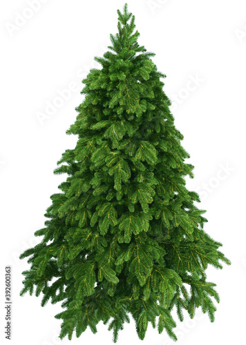 Natural Green Pine  pine tree  christmas tree isolated on white background