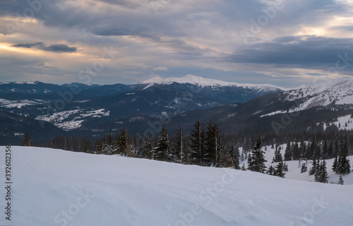 Picturesque winter windy and cloudy morning alps. Ukrainian Carpathians highest ridge Chornohora with peaks of Hoverla and Petros mountains. View from Svydovets ridge Dragobrat ski resort.