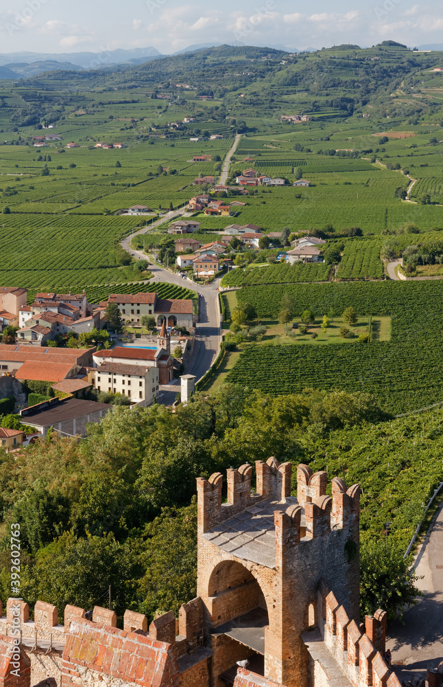 Landscape next to the town of Soave, Italy, seen from the walls of the medieval castle