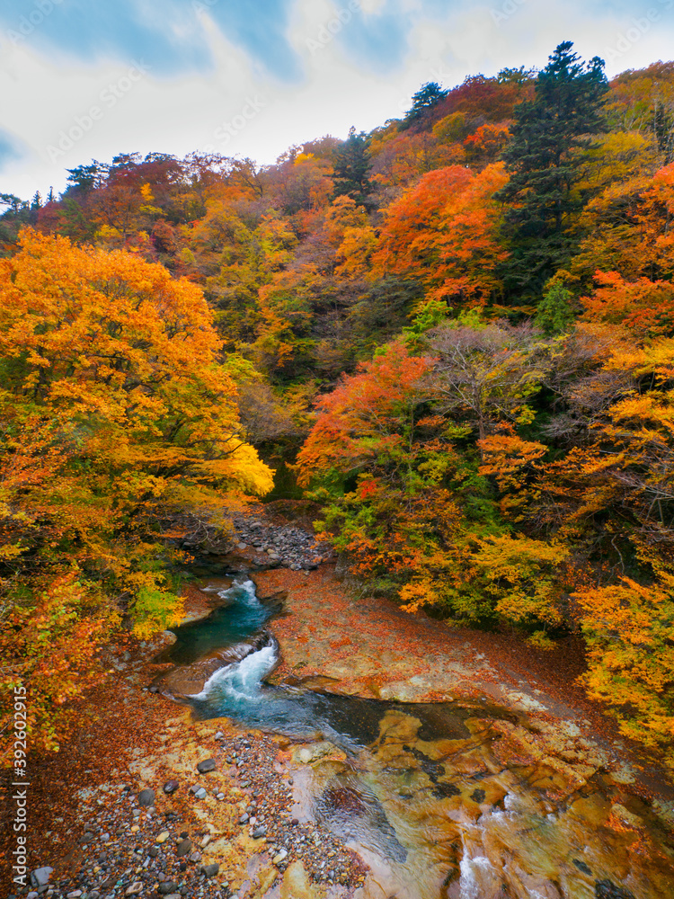 Valley with autumn leaves (Tochigi, Japan) Valley with autumn leaves (Tochigi, Japan)