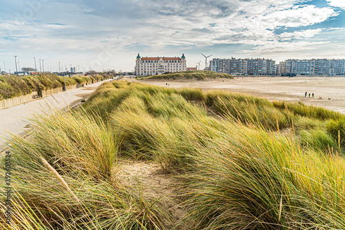 Fototapeta Naklejka Na Ścianę i Meble -  View of the coastline of Zeebrugge combined with the hotel and grasses that lead the eye.  Walking path, flanders coast, great pic for toerism belgium coast, best of flanders
